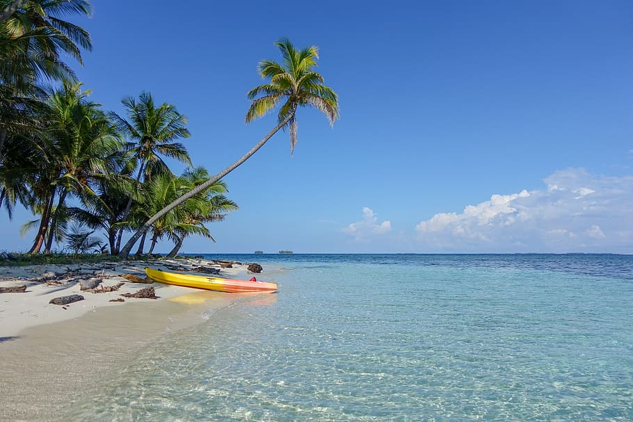 yellow kayak on seashore, tree, beach, coast, water, arecaceae HD wallpaper