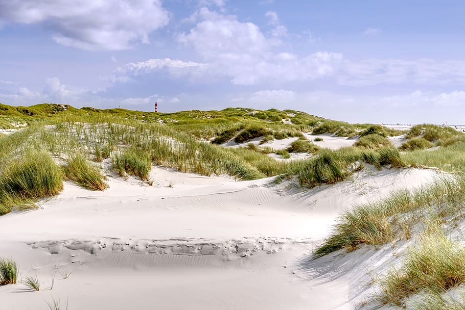 beach, dunes, sand, lighthouse, reed, clouds, landscape, summer