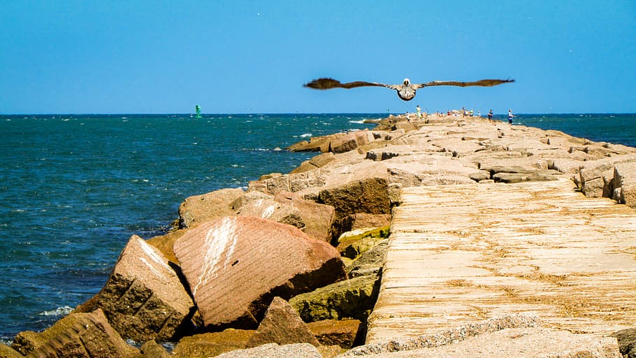 united states, port aransas, the port a jetty, sea, water, horizon, HD wallpaper