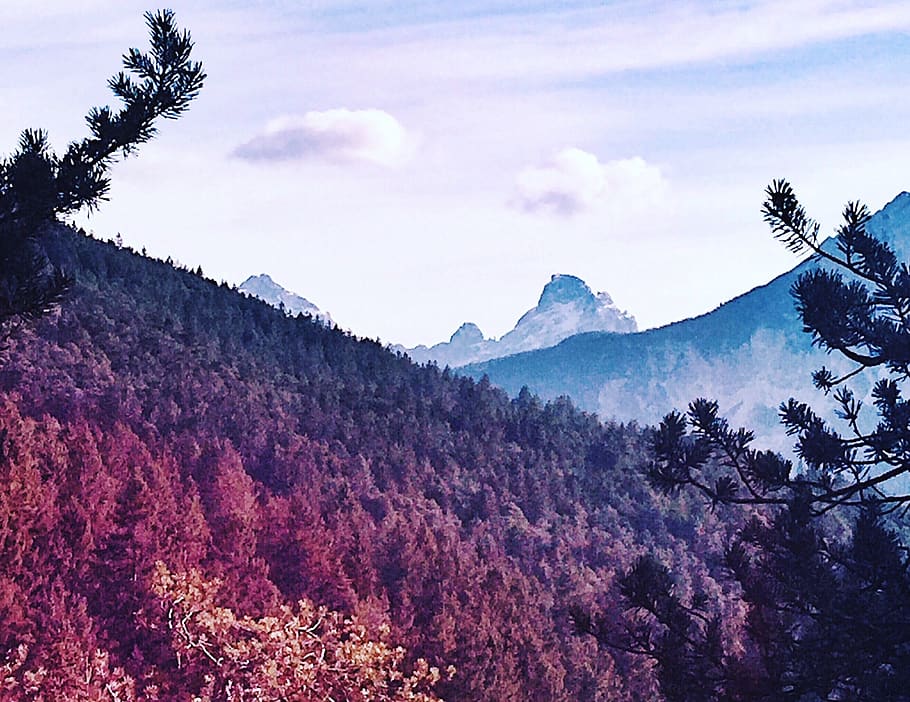 trees, mountain, dolomites, alps, italy, violet, winter, cold HD wallpaper