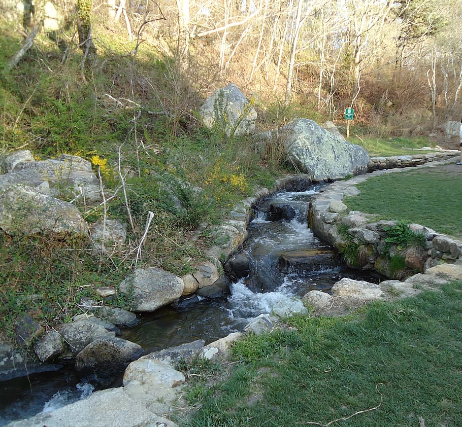 brook, stream, rocks, nature, solid, water, rock - object, plant HD wallpaper