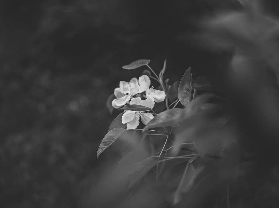 3840x1080px | free download | HD wallpaper: Grayscale Photography of ...
