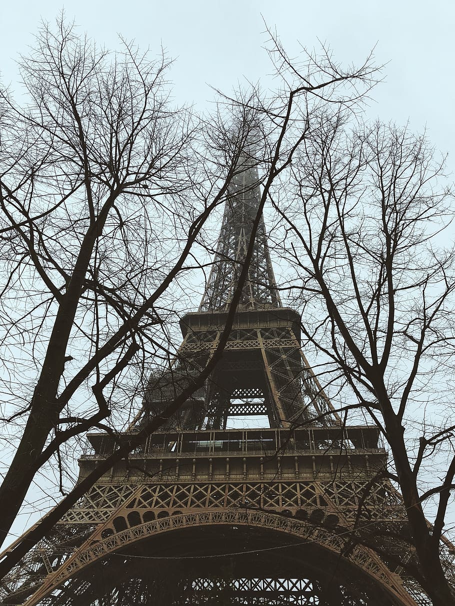 two bare trees near Eiffel Tower, architecture, cloud, paris HD wallpaper
