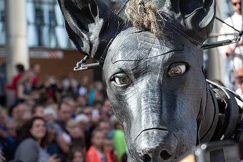 Hd Wallpaper Royal De Luxe Street Theatre Leeuwarden Giants Diver Puppet Wallpaper Flare