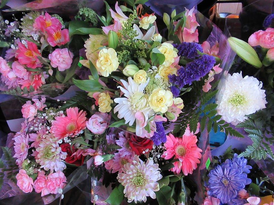 flora, bright, mixed, bouquet, flowers, colorful, flowering plant HD wallpaper