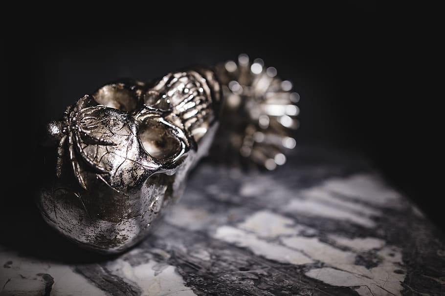 Halloween Skulls Decorations, autumn, fall, spooky, scary, close-up HD wallpaper