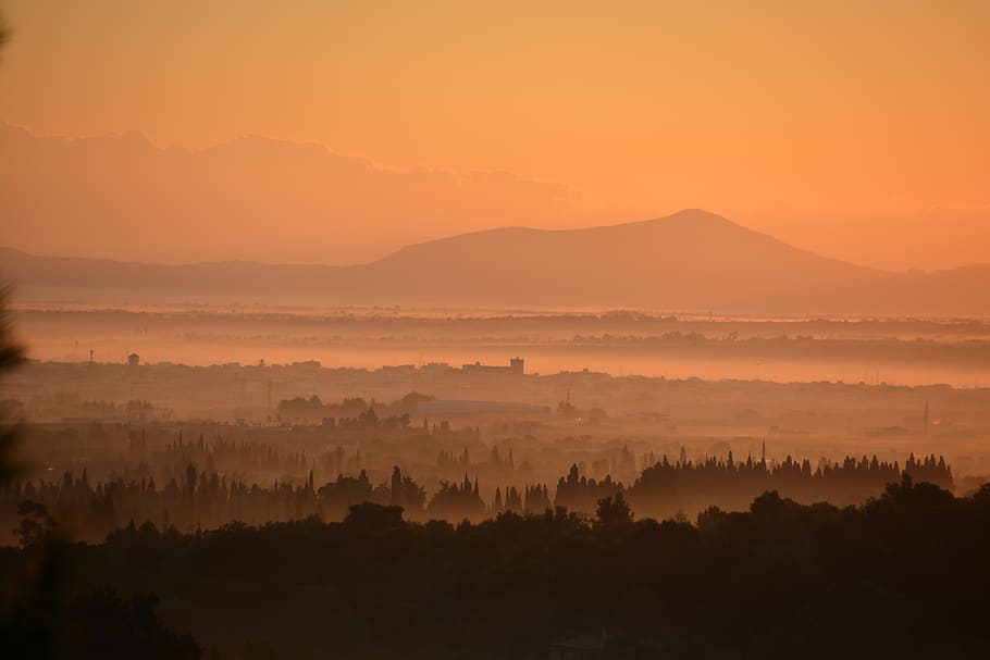 vision, sa pobla, mallorca, inselmitte, balearic islands, sunrise HD wallpaper