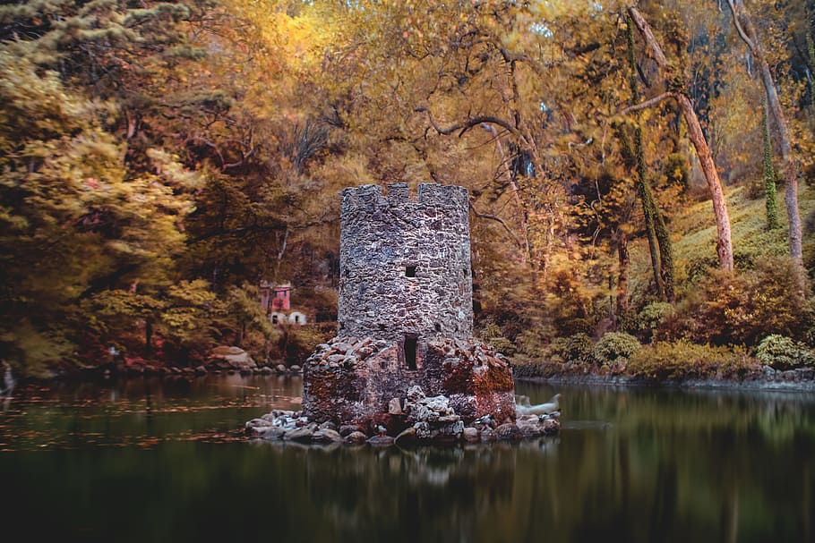 gray concrete wall, building, water, tree, forest, woodland, lake HD wallpaper