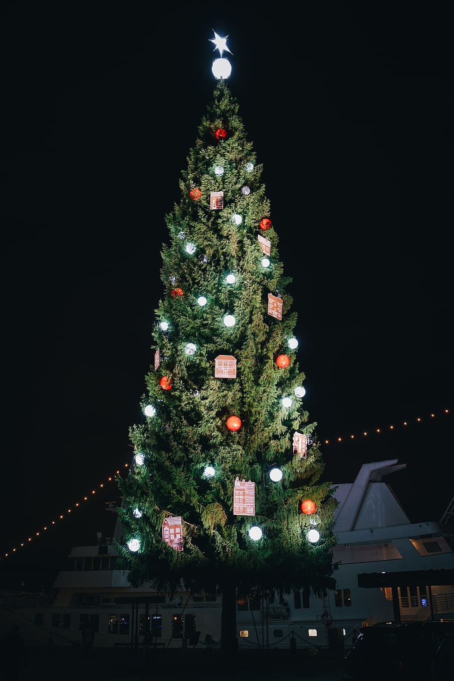 green Christmas tree, plant, ornament, stockholm, sweden, automobile HD wallpaper