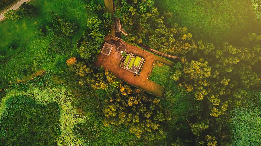 High-angle Photography of Trees and Plants, aerial, aerial view, HD wallpaper