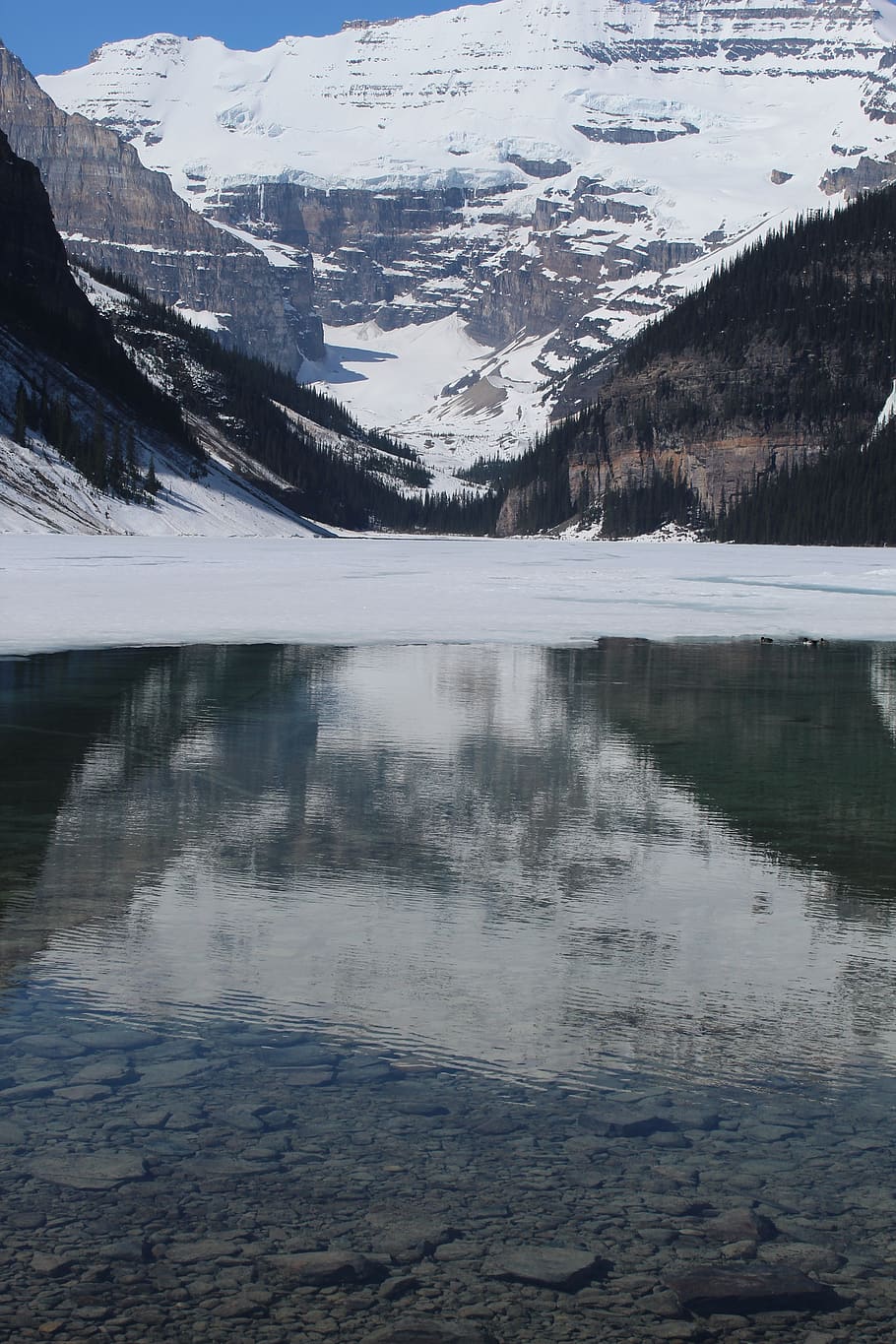 lake, louise, canada, water, mountain, scenics - nature, beauty in nature HD wallpaper