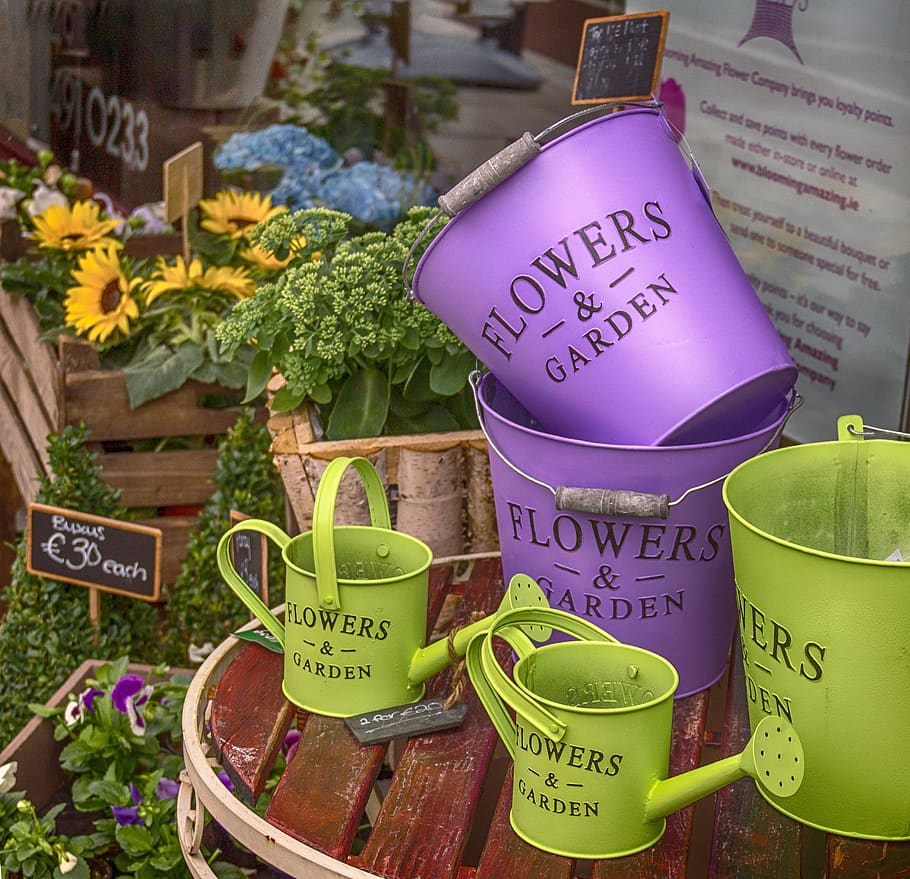 flower shop, decoration, bucket, watering pot, green, purple, HD wallpaper