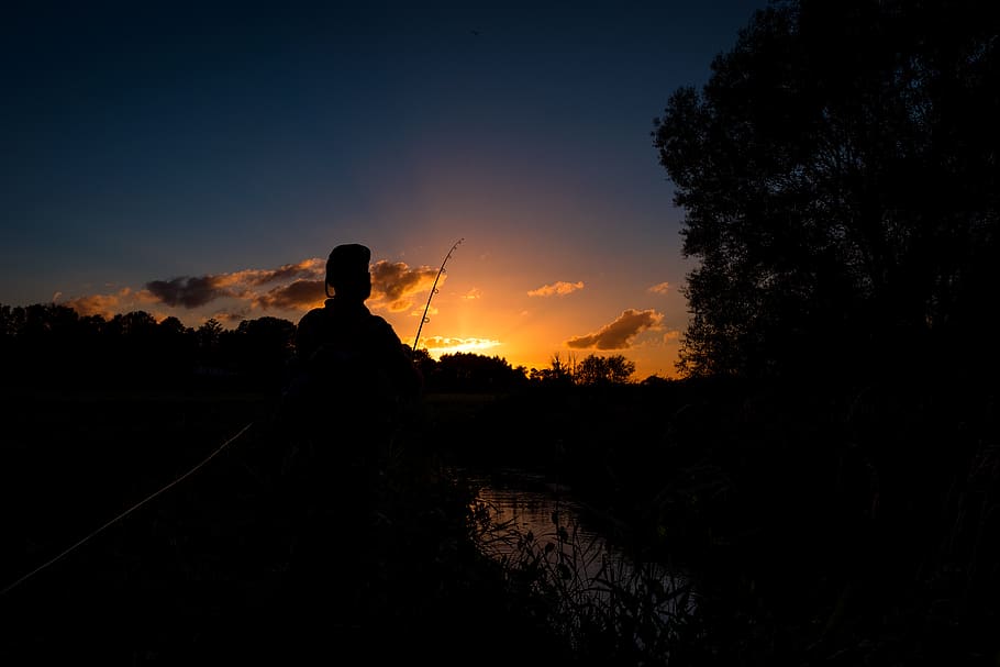 fishing, forest, nature, angling, summer, sky, sun, rod, night HD wallpaper