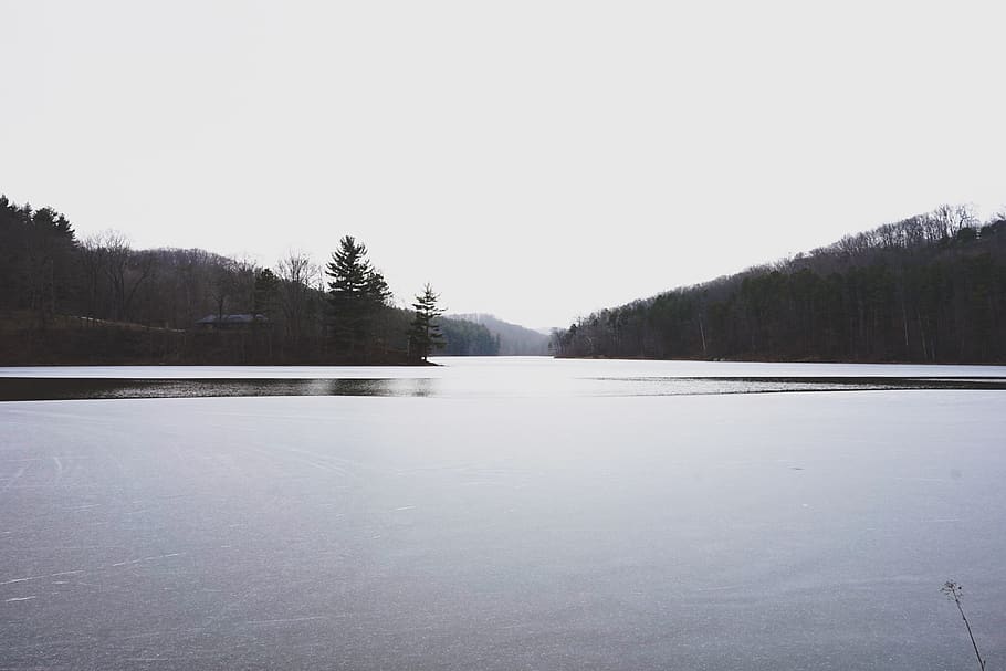 lake, trees, forest, sony, cold temperature, water, tranquility HD wallpaper