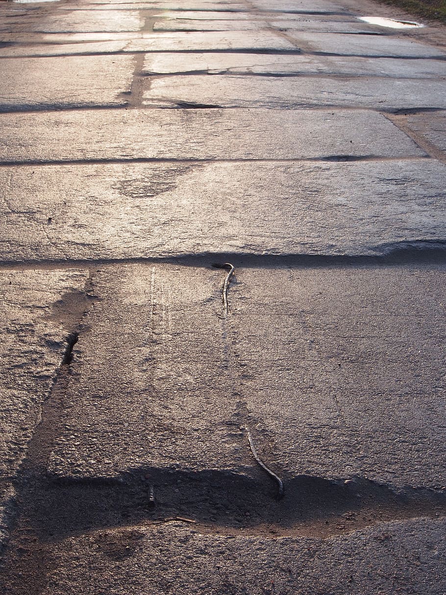 pavement, street, stone, day, sunlight, no people, textured HD wallpaper
