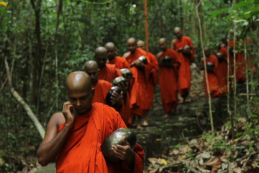 people, religion, adult, monk, group, buddha, travel, temple