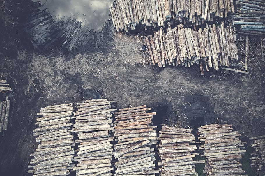 Grayscale Photography of Firewood, daylight, daytime, firewoods HD wallpaper