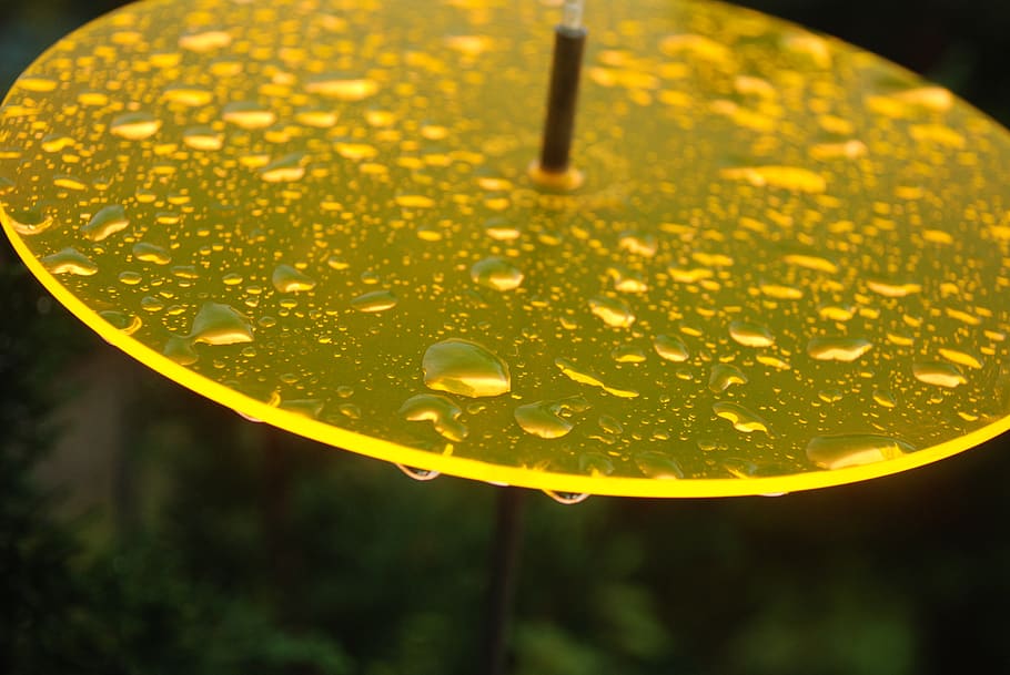 sun, yellow, shining, nature, rain, sunset, light, color, dusk HD wallpaper