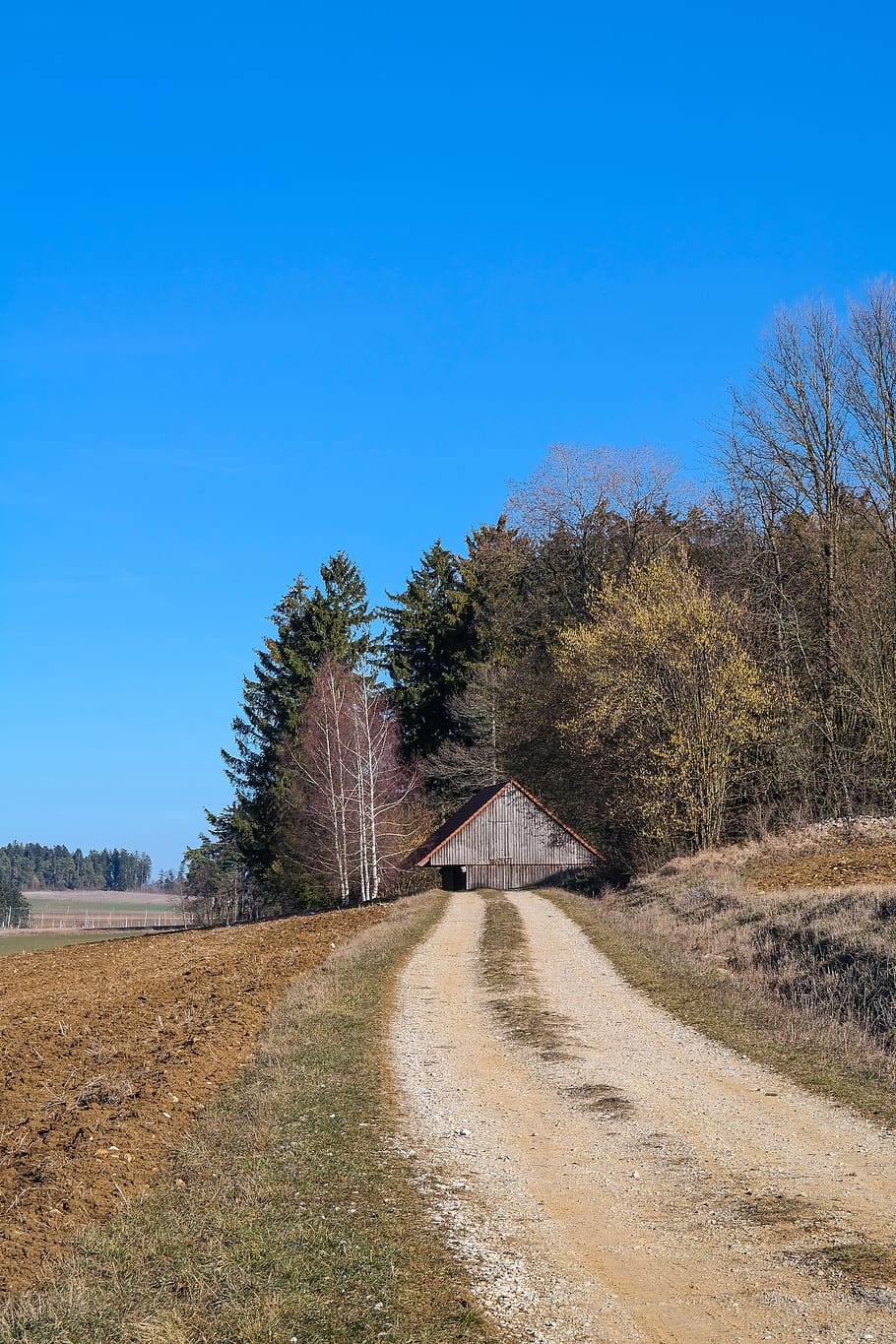 lane, trail, promenade, arable, scale, spring, nature, tree HD wallpaper