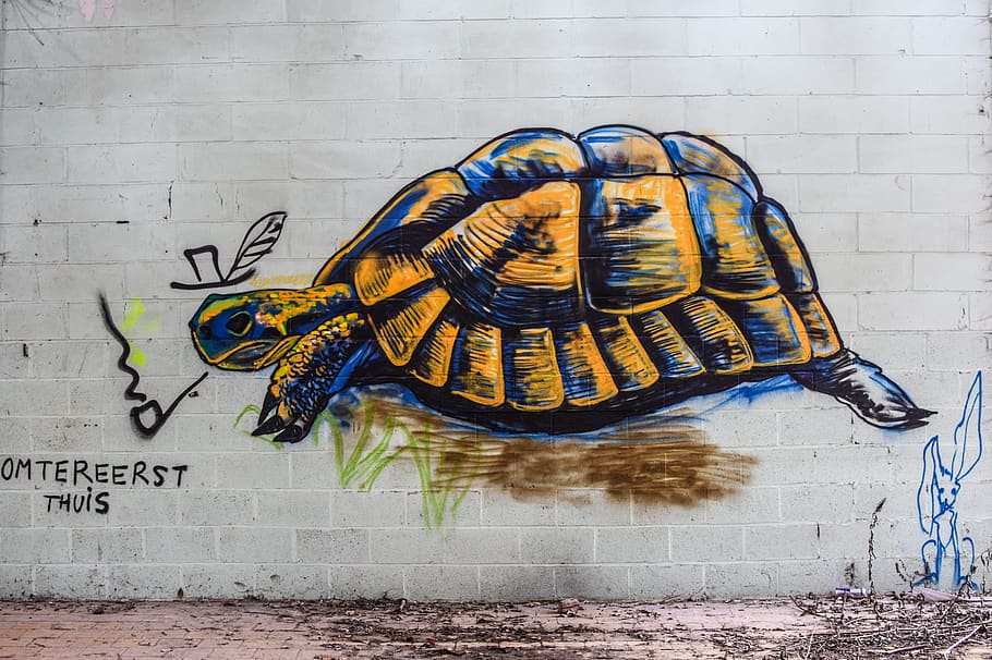 turtle, graffiti, mural, drawing, wall - building feature, art and craft, HD wallpaper