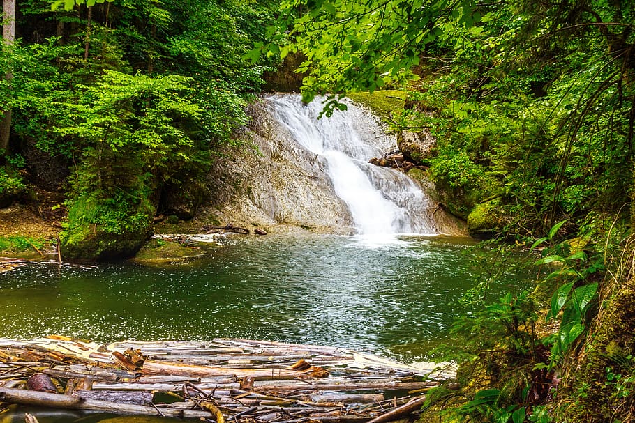 waterfall, river, eistobel, isny, nature, reserve, gem, forest HD wallpaper