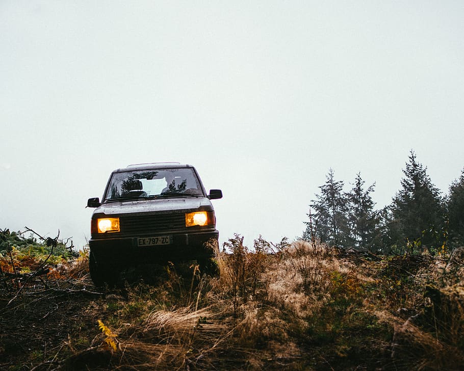 Gray Truck Grass Field Near Trees, automobile, bumper, daylight HD wallpaper