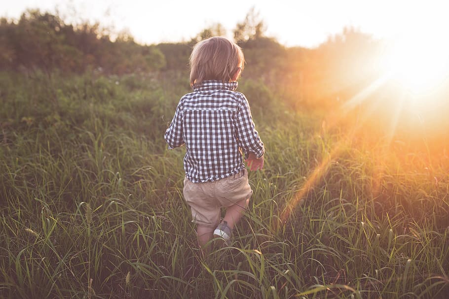 boy walking on grass field, outdoor, boy exploring, toddler, boy in field