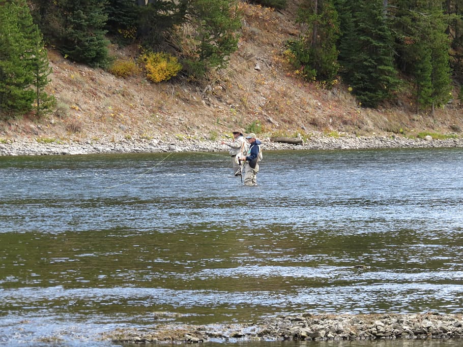 fly fishing, water, day, real people, nature, leisure activity HD wallpaper