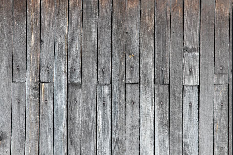 tree, grey, background, texture, old tree, wood, wall, house HD wallpaper