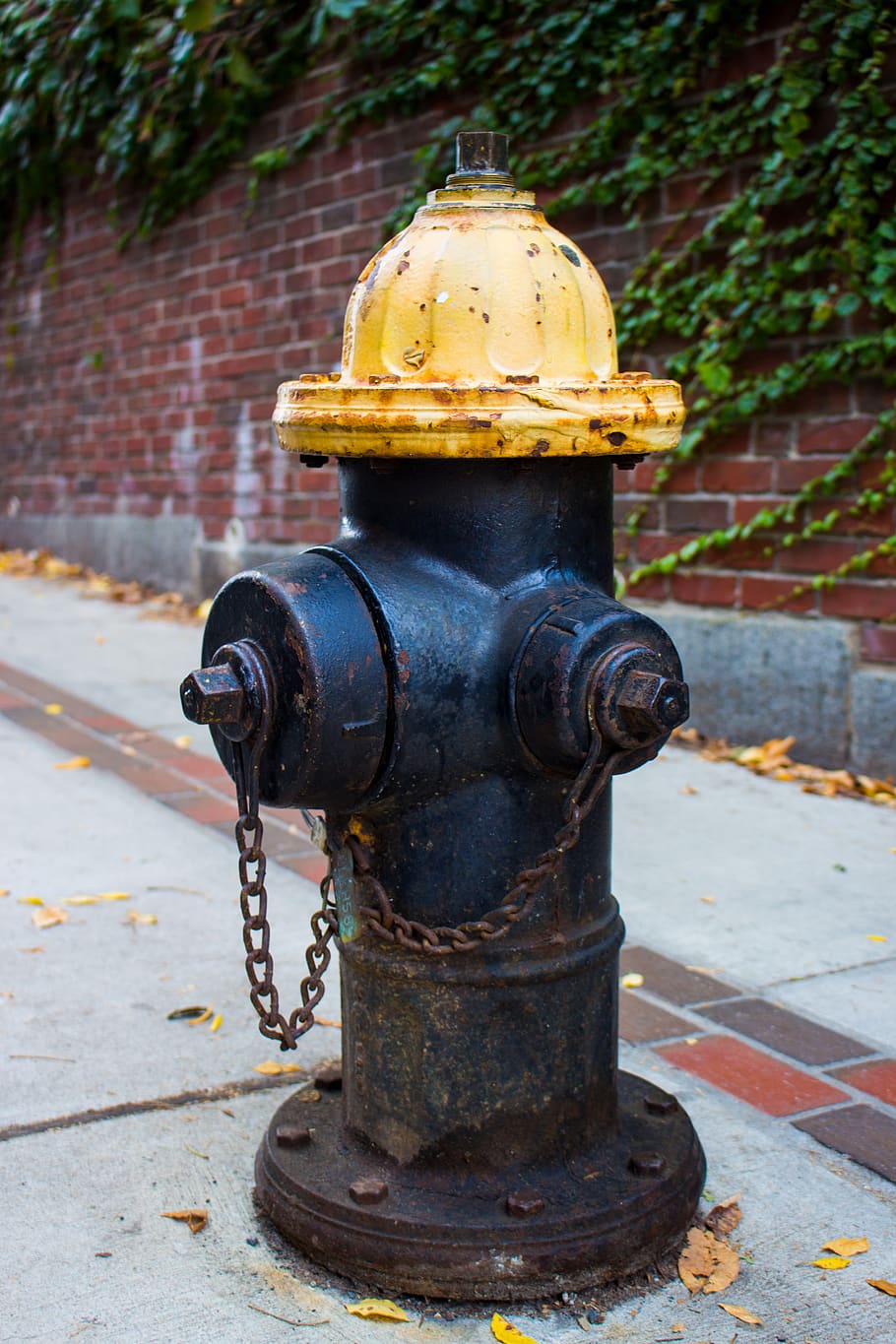boston, urban, hydrant, fire, rusty, old, industrial, metal HD wallpaper