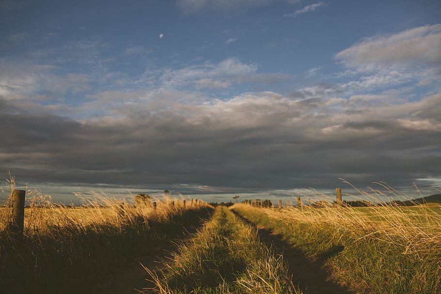 grey, cloud, sky, plains, fields, grass, farm, country, trail HD wallpaper