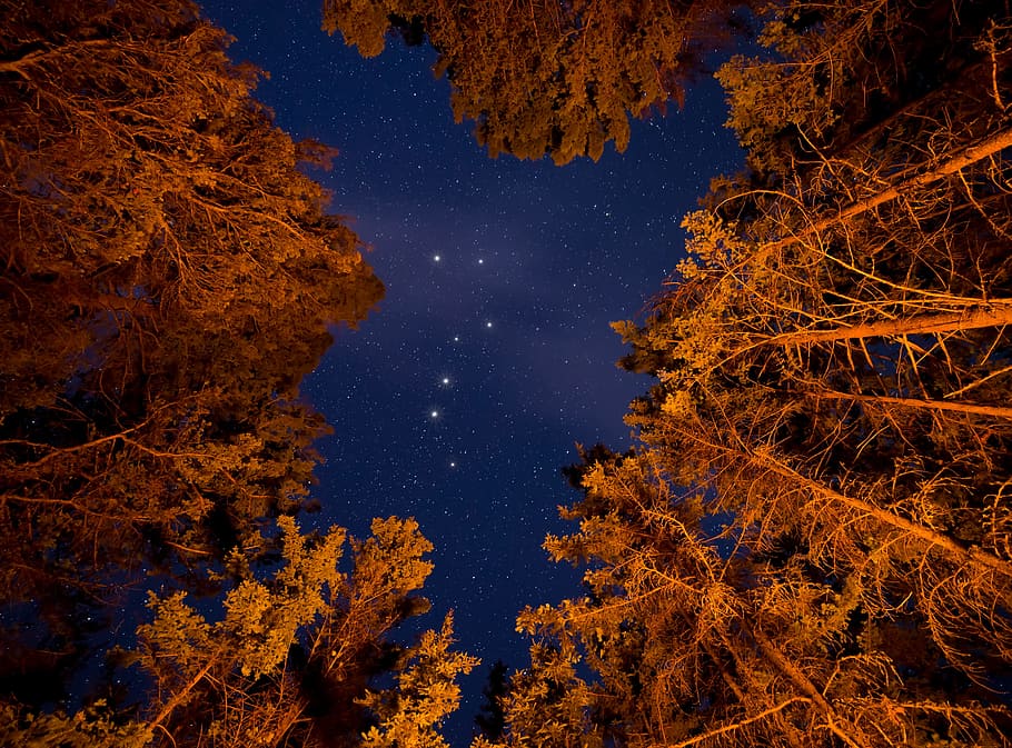 low angle photography of constellations in delaware, star, sky HD wallpaper