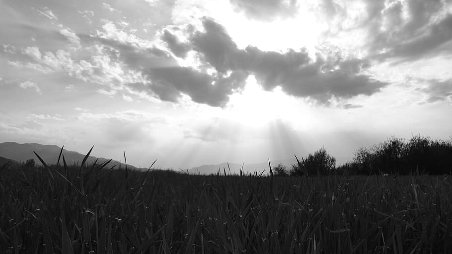 cloud, cloudy, weather, black and white, bw, spring, sky, sun HD wallpaper