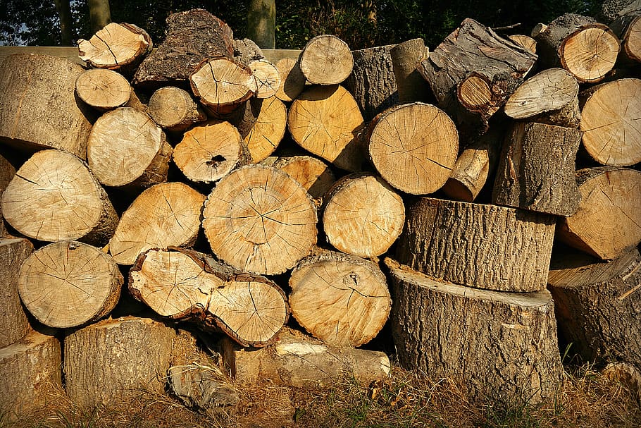 wood, chopped, log, trunk, timber, pattern, texture, cutting HD wallpaper