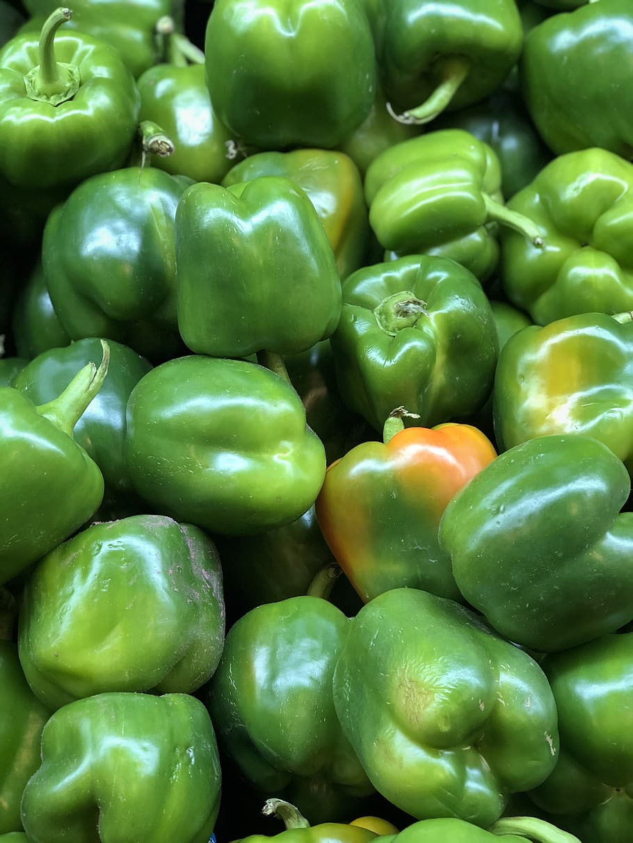 bell, pepper, green, vegetable, raw, ingredient, cooking, nutrition HD wallpaper