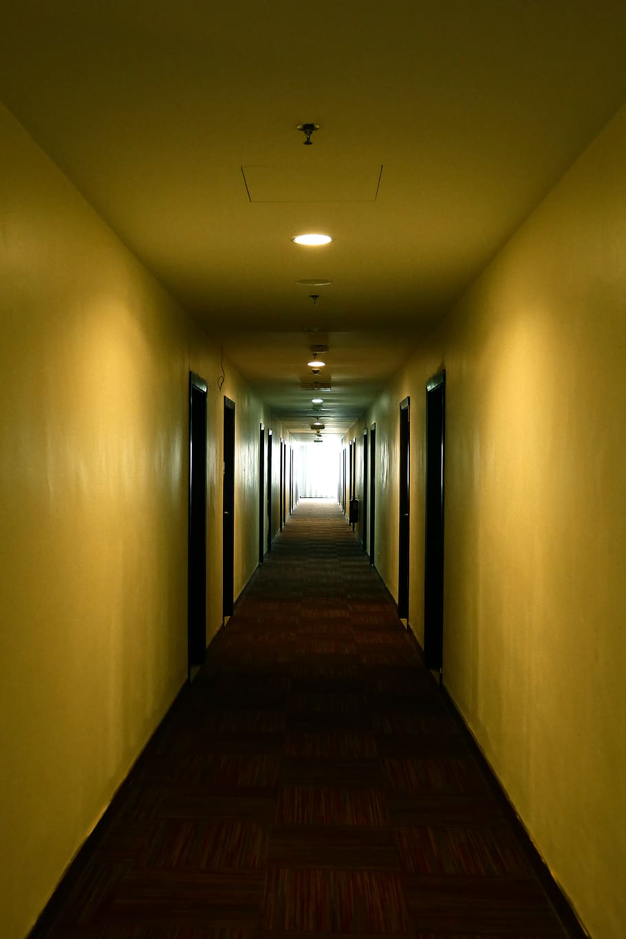 doors, hallway, perspective, rooms, dark, corridor, architecture HD wallpaper