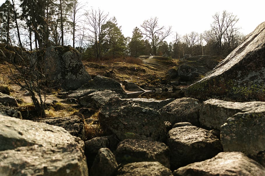 wallpaper, landscape, trees, rocks, nature, travel, solid, rock - object HD wallpaper