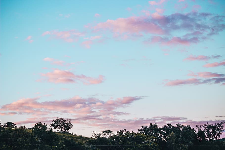 Green-leafed Trees, blue sky, clouds, color, daylight, high, scenic HD wallpaper