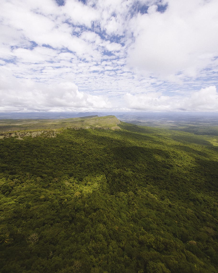 brazil, tepequém, forest, sky, tepequem, mount, trees, nature HD wallpaper