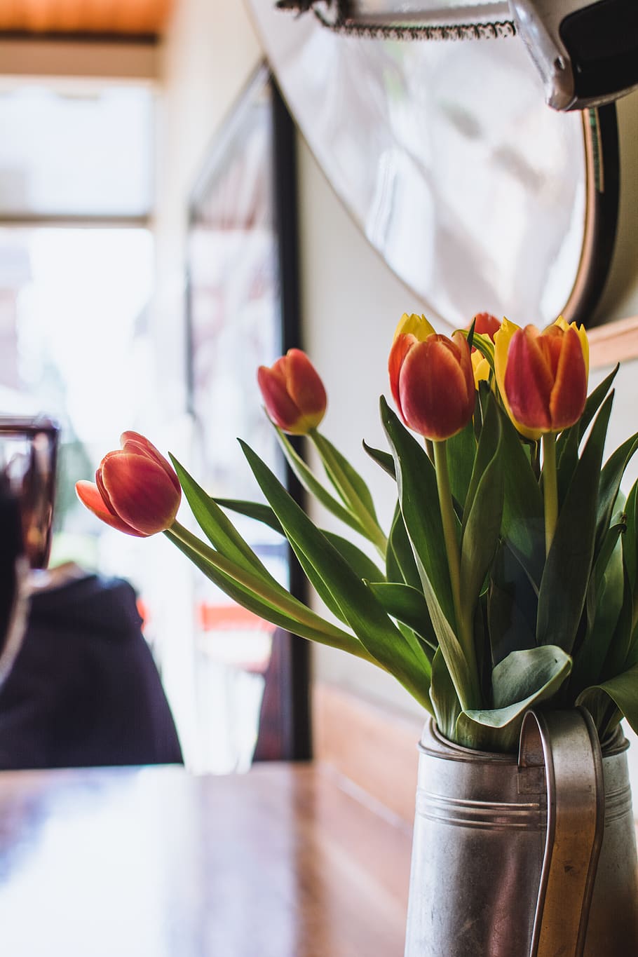 whimsical, whimsy, plants, organic, beautiful, restaurant, cafe HD wallpaper