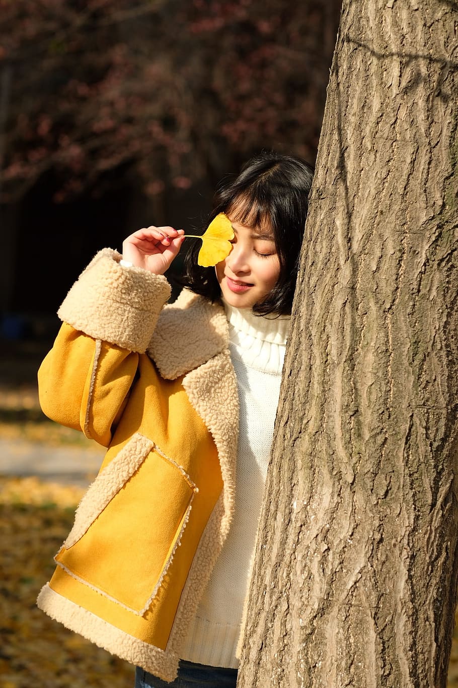Woman Wearing Yellow Jacket Holding Yellow Leaf, bark, beautiful HD wallpaper