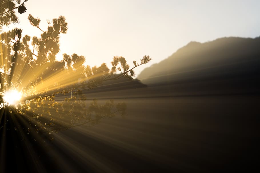 sunlight and tree, flare, nature, outdoors, sunrise, sunset, mountain HD wallpaper
