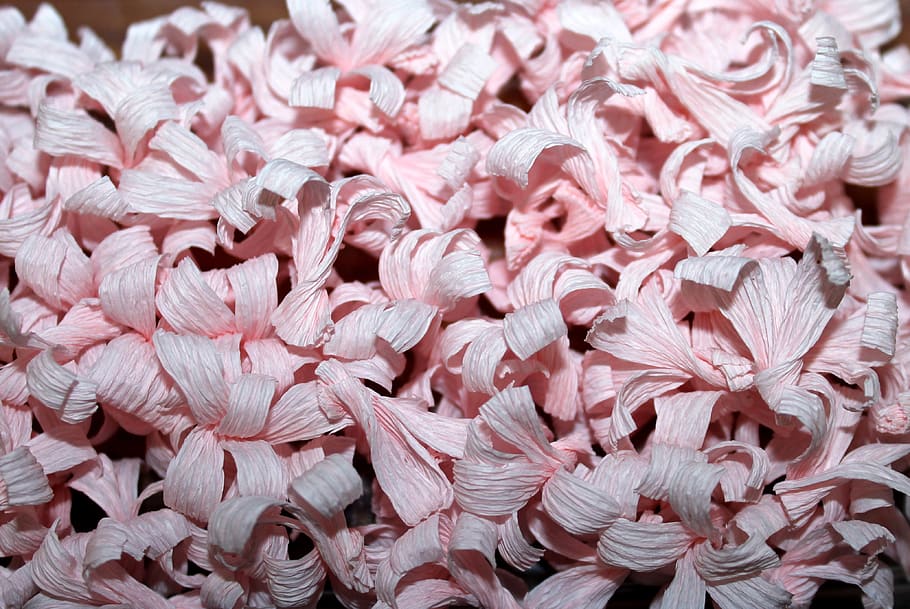 paper, pink, pattern, texture, wallpaper, the structure of the HD wallpaper