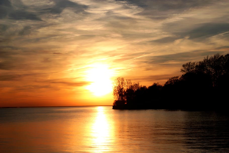 Silhouette Photography of Trees during Sunset, backlit, beach HD wallpaper