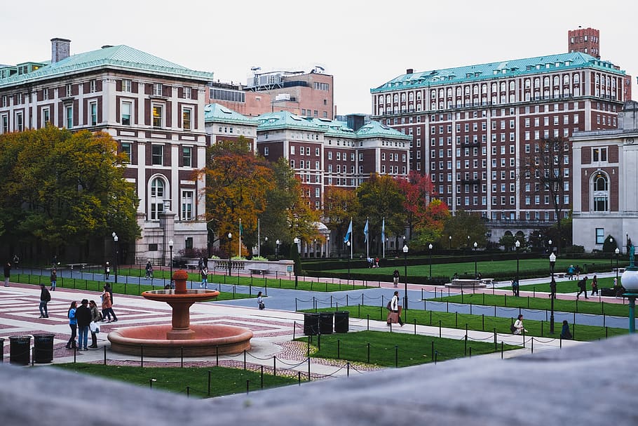 columbia university, united states, new york, buildings, college, HD wallpaper