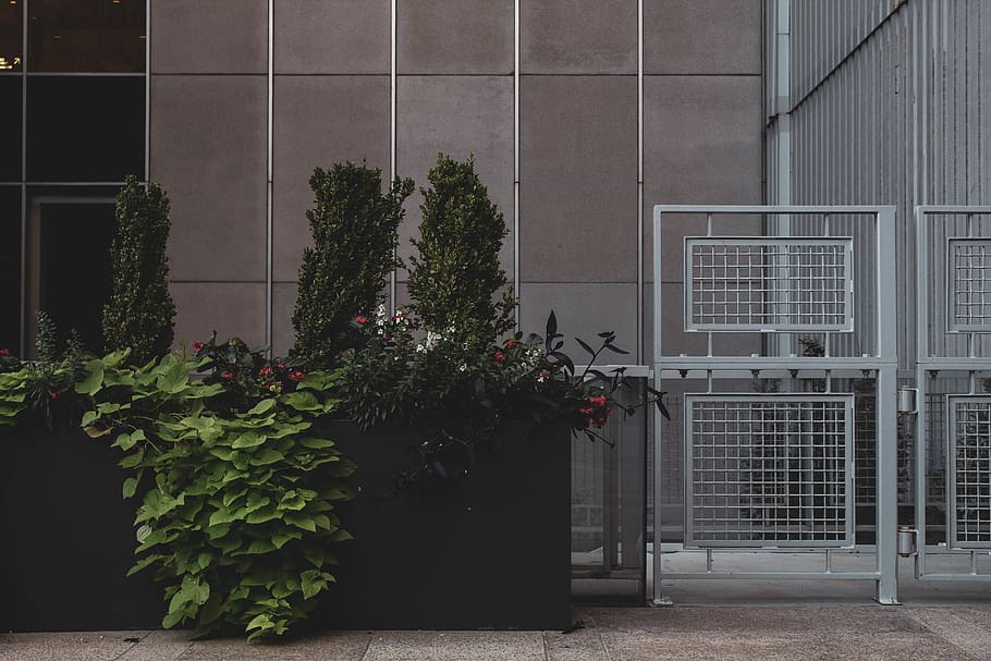 green plants, banister, handrail, railing, flagstone, flower HD wallpaper