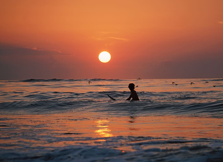 nature, sunset, surf, beach, ocean, sea, doves, bird, man, people HD wallpaper