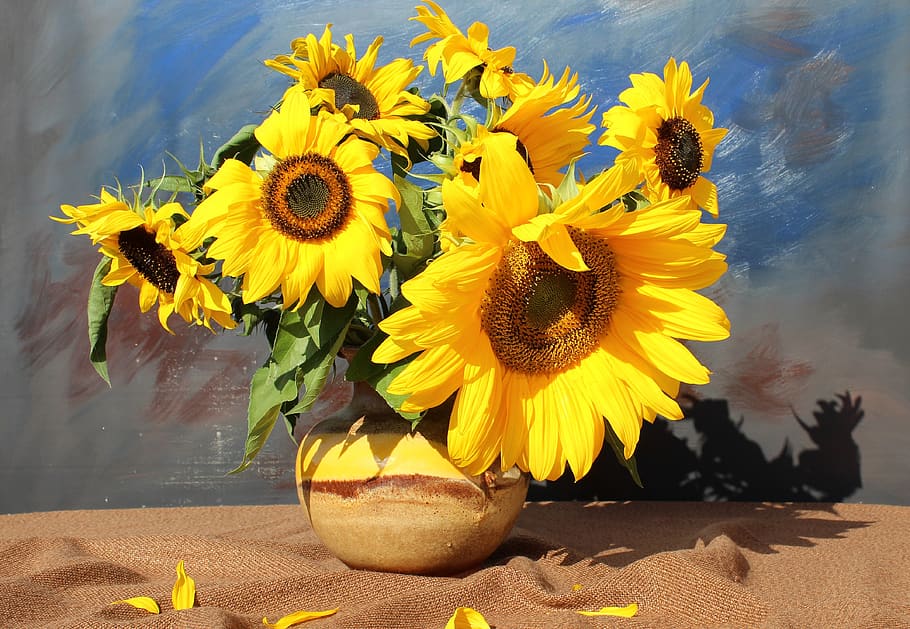flowers, flora, bouquet, still life, sunflower, yellow, nature, HD wallpaper