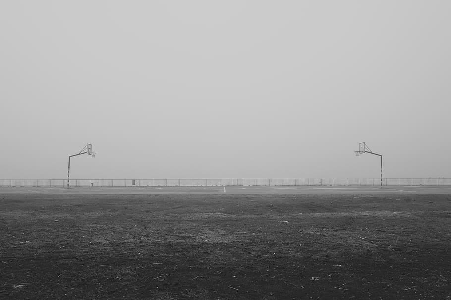 germany, cologne, fog, environment, sky, copy space, nature HD wallpaper