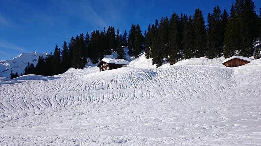 winter, snow, cold, nature, landscape, alpine, wintry, snow landscape HD wallpaper